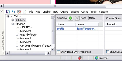 Screenshot -Internet Explorer Developer Toolbar add-on for IE